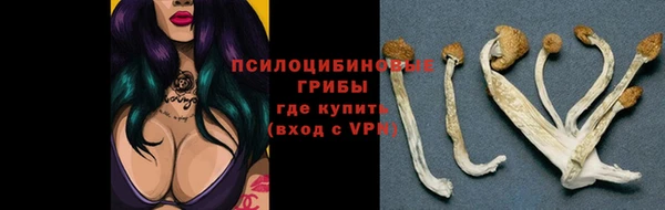 каннабис Баксан