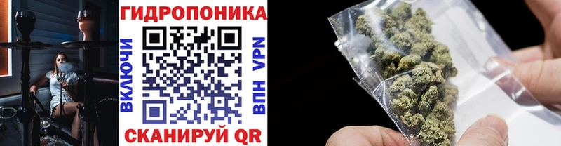 дарнет шоп  Верея  Шишки марихуана AK-47 